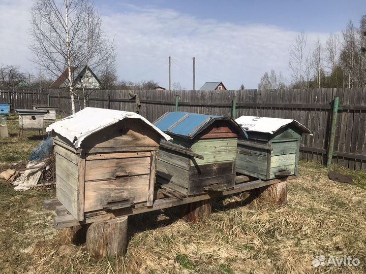 Улей для пчел бу