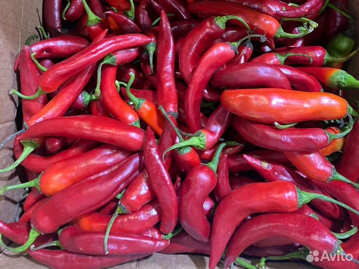 Перец красный острый