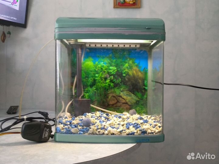 Аквариум Jebo R331