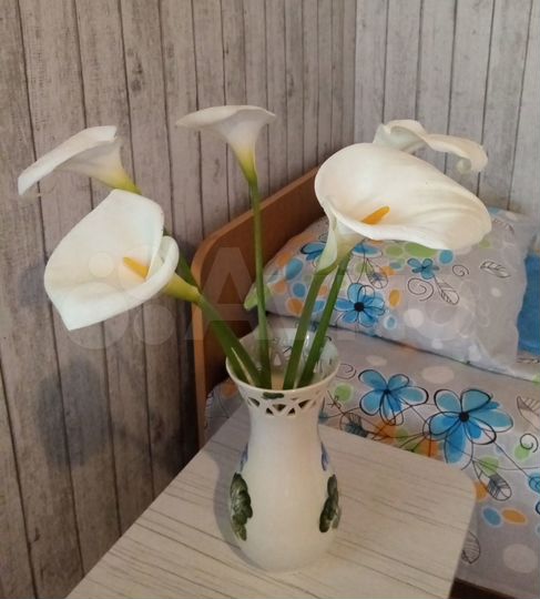 Дом (Абхазия)