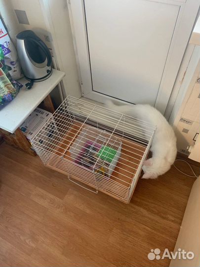 Клетка для птиц и грызунов