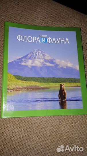 Коллекция журналов