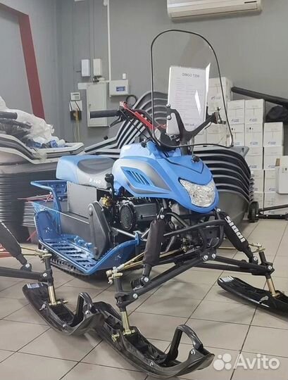 Снегоход Irbis Dingo T 200