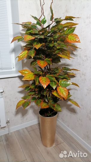 Осенний авокадо, искусственный