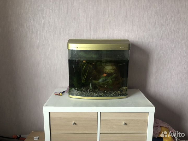 Аквариум