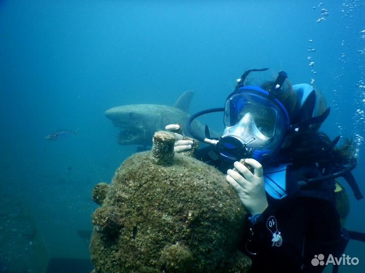 Дайвинг/рыбалка И поисковые работы