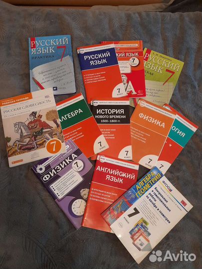 Рабочие тетради 5 класс