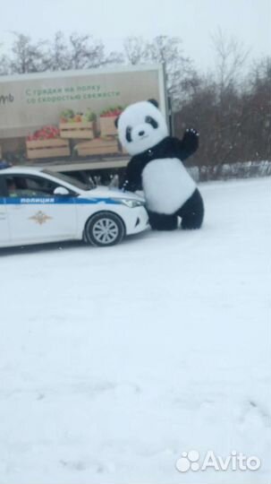 Поздравление от Мишки Панды