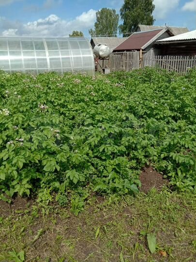 Дом 47,6 м² на участке 30 сот.