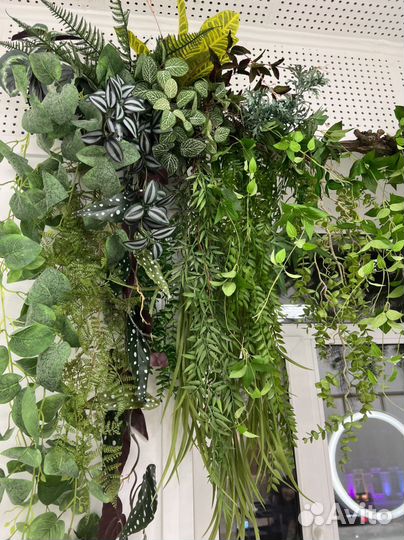 Искусственные растения стена