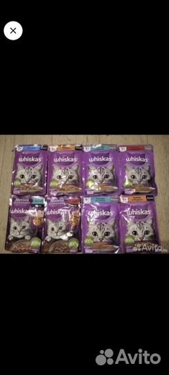 Влажный корм опт