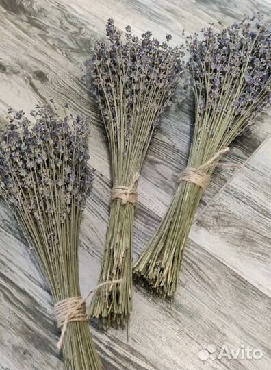 Букет лаванды