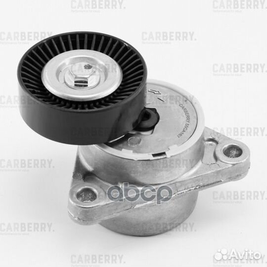 Ролик натяжной приводного ремня 55CA167 carberry