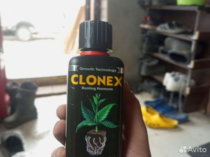 Гель для клонирования Clonex 300 мл