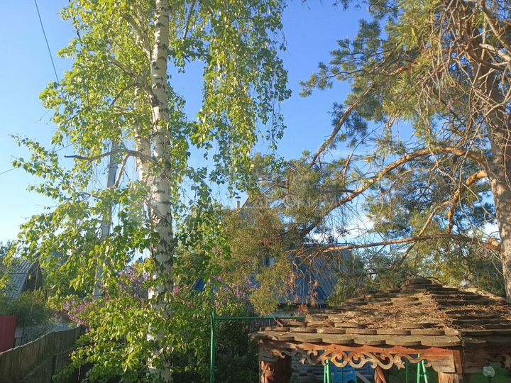 Участок 6,6 сот. (СНТ, ДНП)