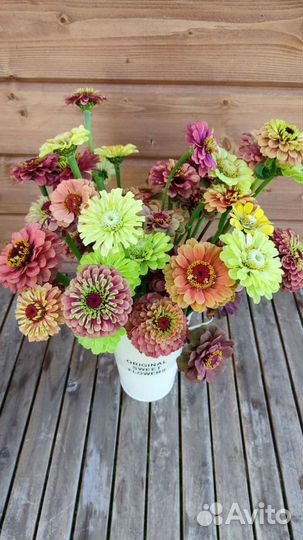 Букет на первое сентября