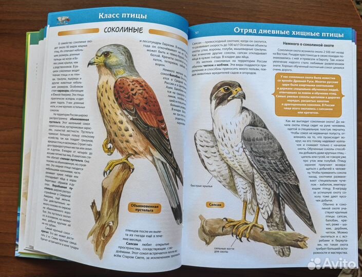 Большая детская энциклопедия