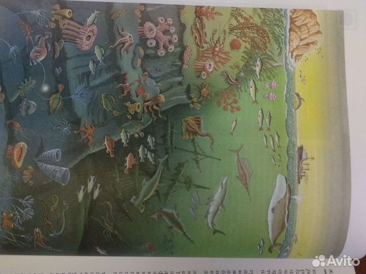 Энциклопедия для детей (том 3) география