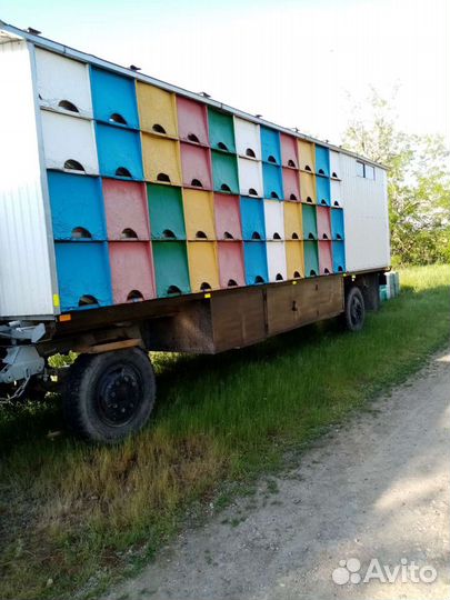 Прицеп пчеловоз, 1978