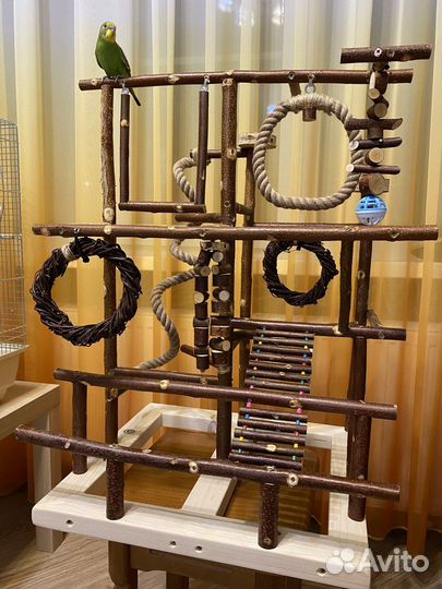 Стенд для попугая