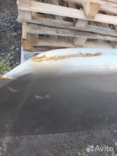 Капот Лада Гранта фл