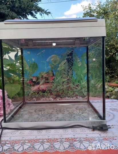 Аквариум для рыбок