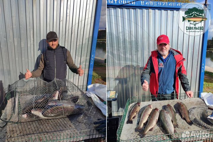 Платная рыбалка на Форель и др.рыбу в Подмосковье