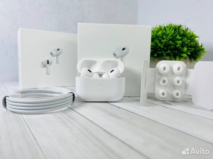 Airpods Pro 2 (Гарантия, Чехол)