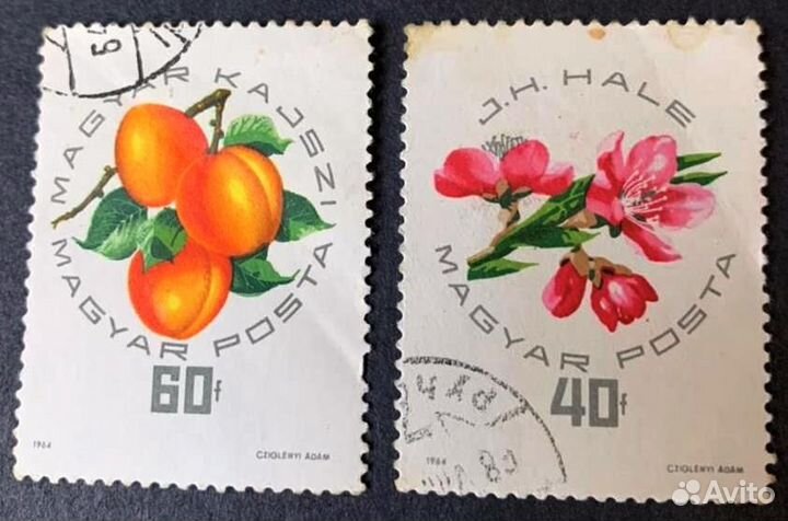 Марки 1964-1965 гг