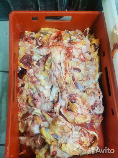 Корм для собак