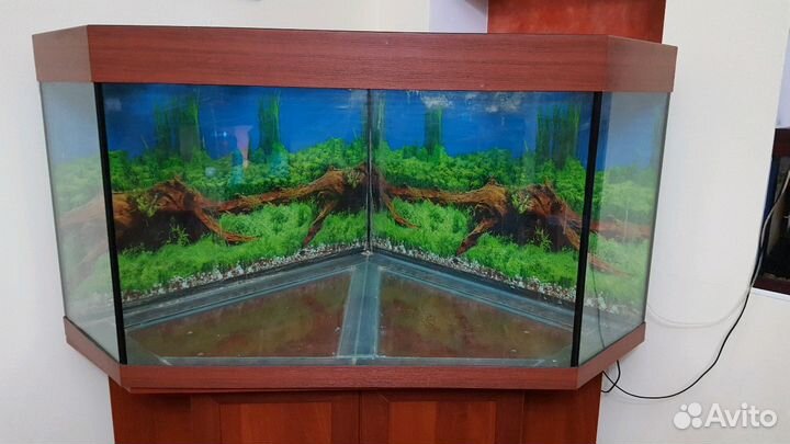 Угловой аквариум на 500 литров с тумбой