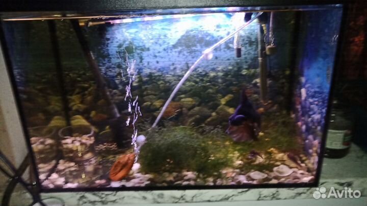 Аквариум 80 литров с оборудованием