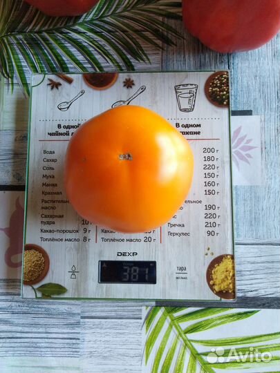 Семена помидоров томатов