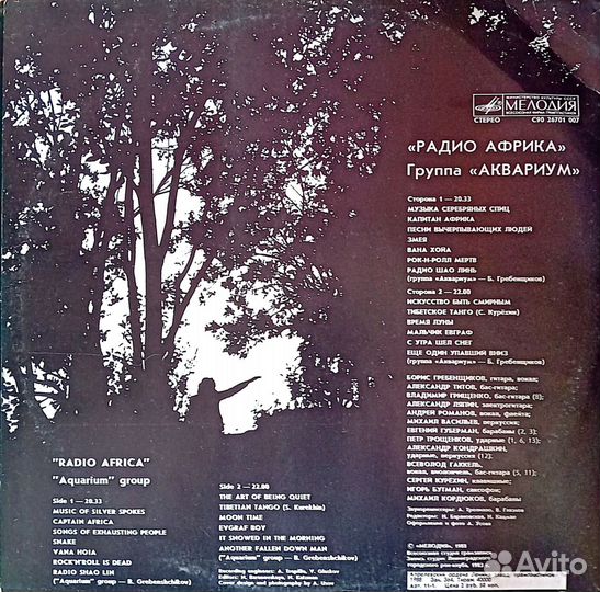 Виниловые пластинки