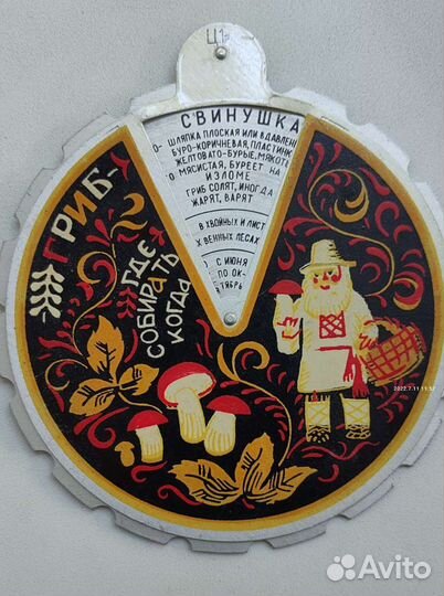 Справочники Грибы