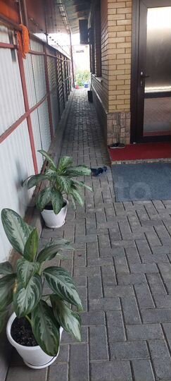 Коттедж 109 м² на участке 4 сот.