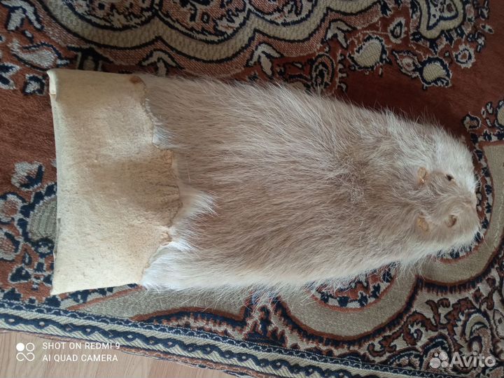 Мех нутрии цельный, чулок