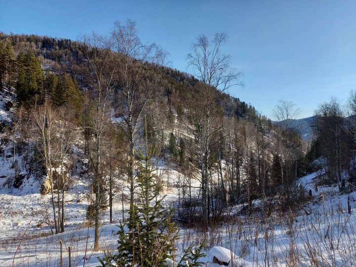 Участок 9 га (СНТ, ДНП)