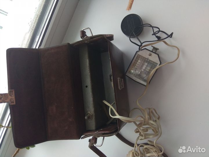 Фотовспышка чайка