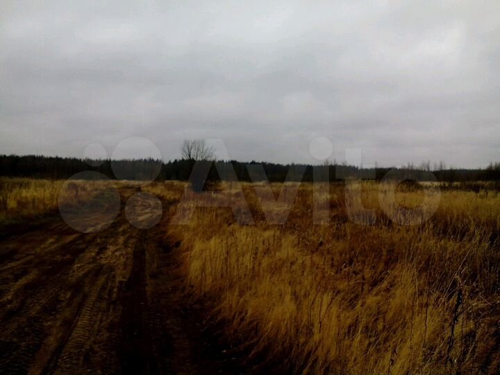 Участок 2,27 га (СНТ, ДНП)