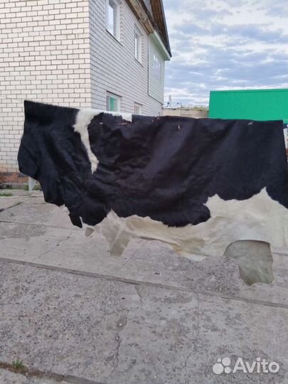 Шкура коровья