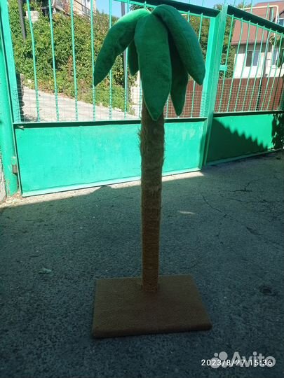 Ногти точка для кошек