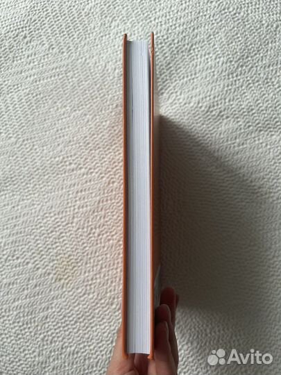 Идеальный руководитель Ицхак Адизес