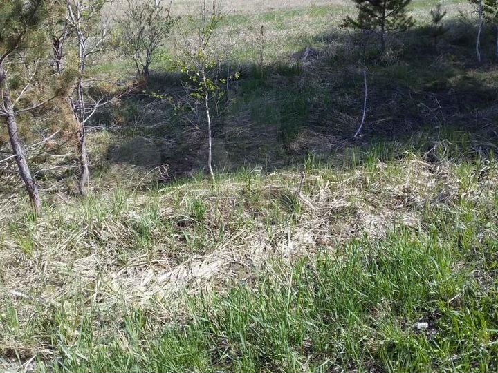 Участок 15 сот. (СНТ, ДНП)