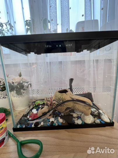 Аквриум