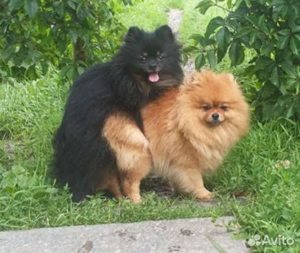 Инструктор по вязкам