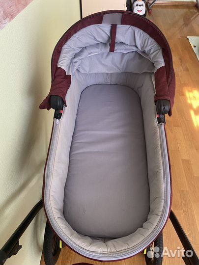 Коляска 2 в 1 bebetto erness