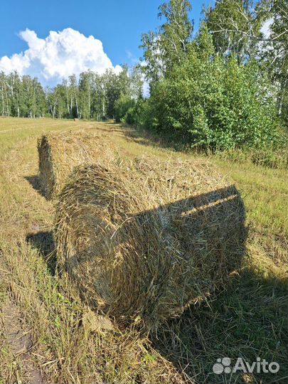 Солома в рулонах