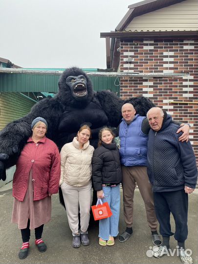 Ростовая кукла поздравит