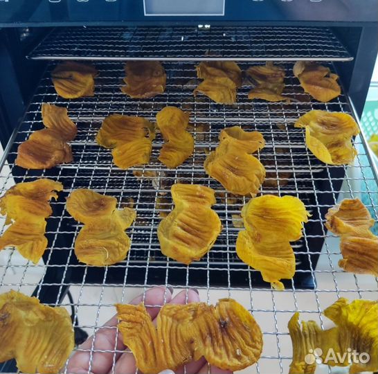 Плёнки от куринных желудков